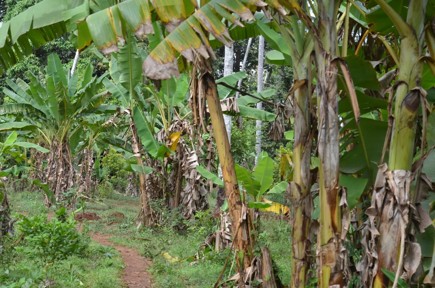 Urlaubsplanung, Planificación de vacaciones, Vacation planning 