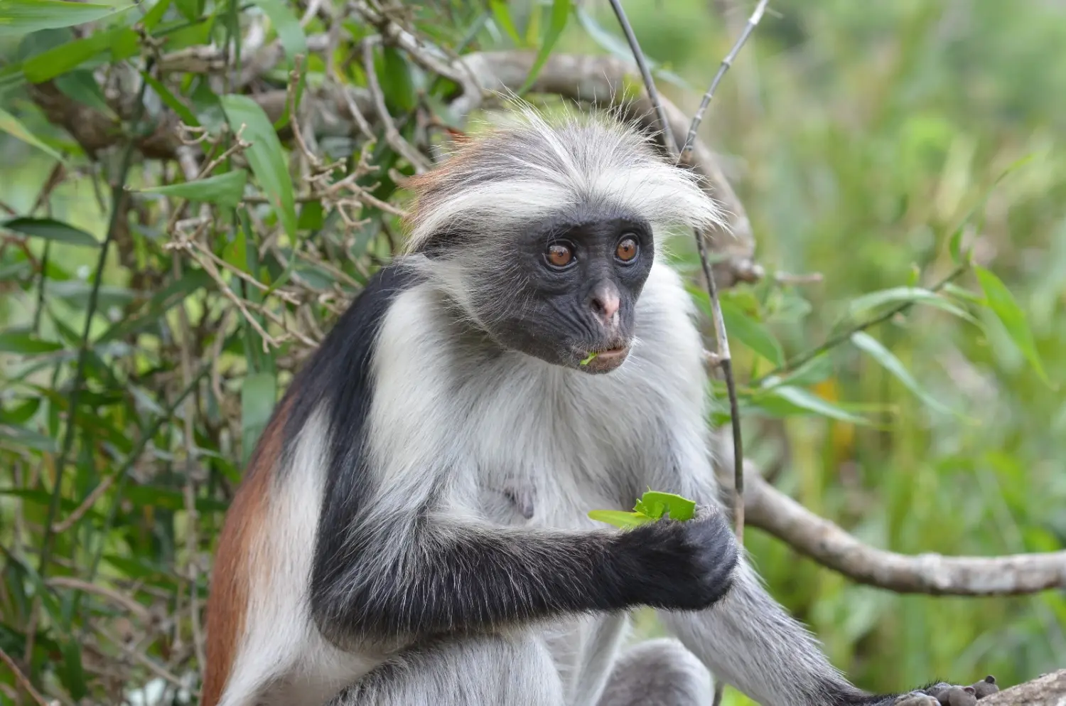 Ubireisen, Reisebüro, Calw