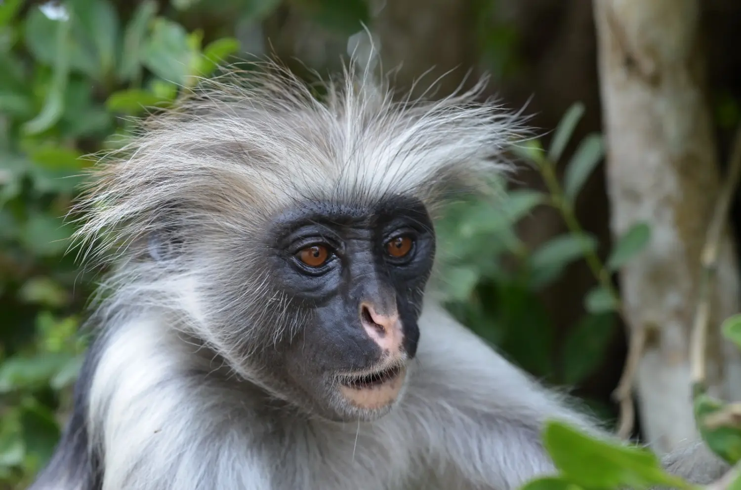 Urlaubsplanung, Planificación de vacaciones, Vacation planning 