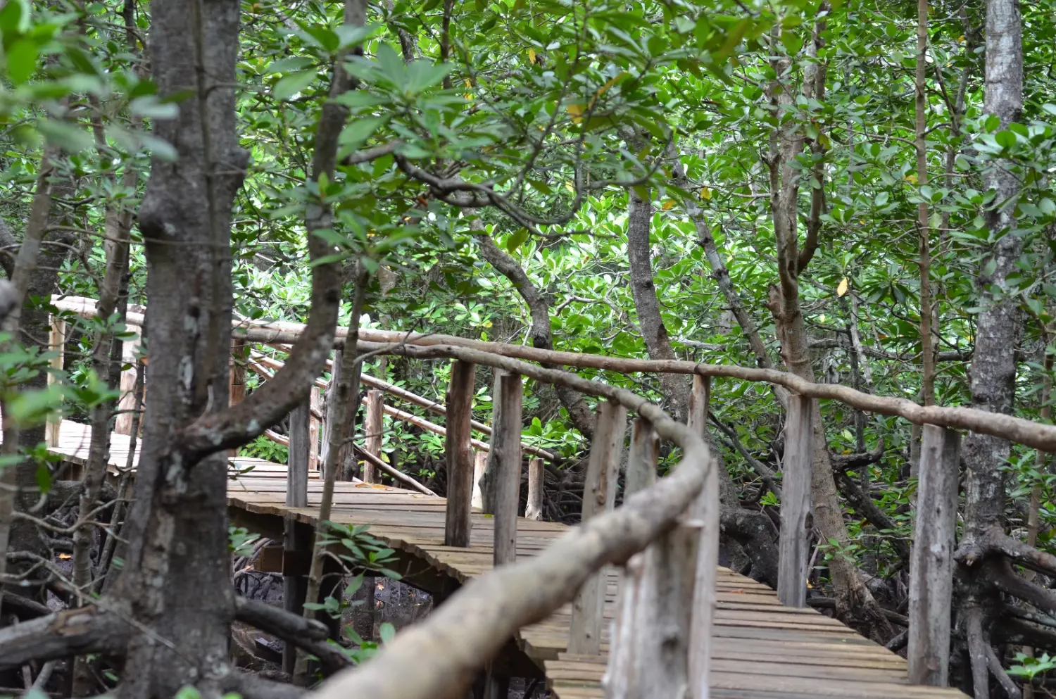 Individualisierte Reisen, Viajes personalizados, Custom travel 