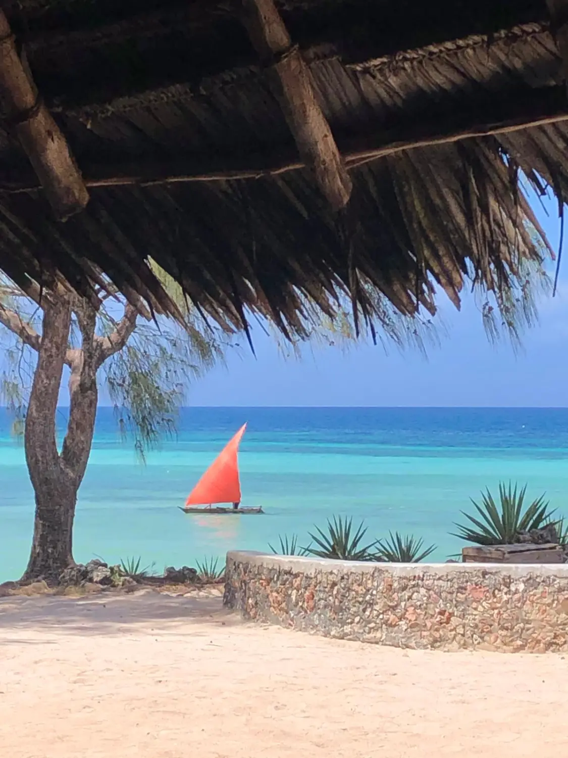  Kreuzfahrten, Cruceros, Cruises