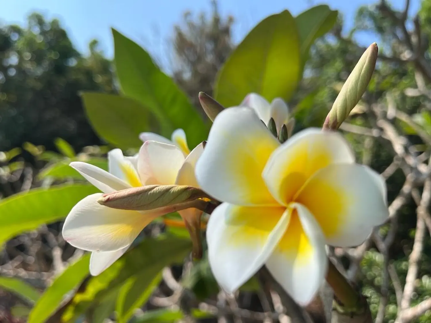 Last-Minute-Angebote, Ofertas de última hora, Last-minute deals 