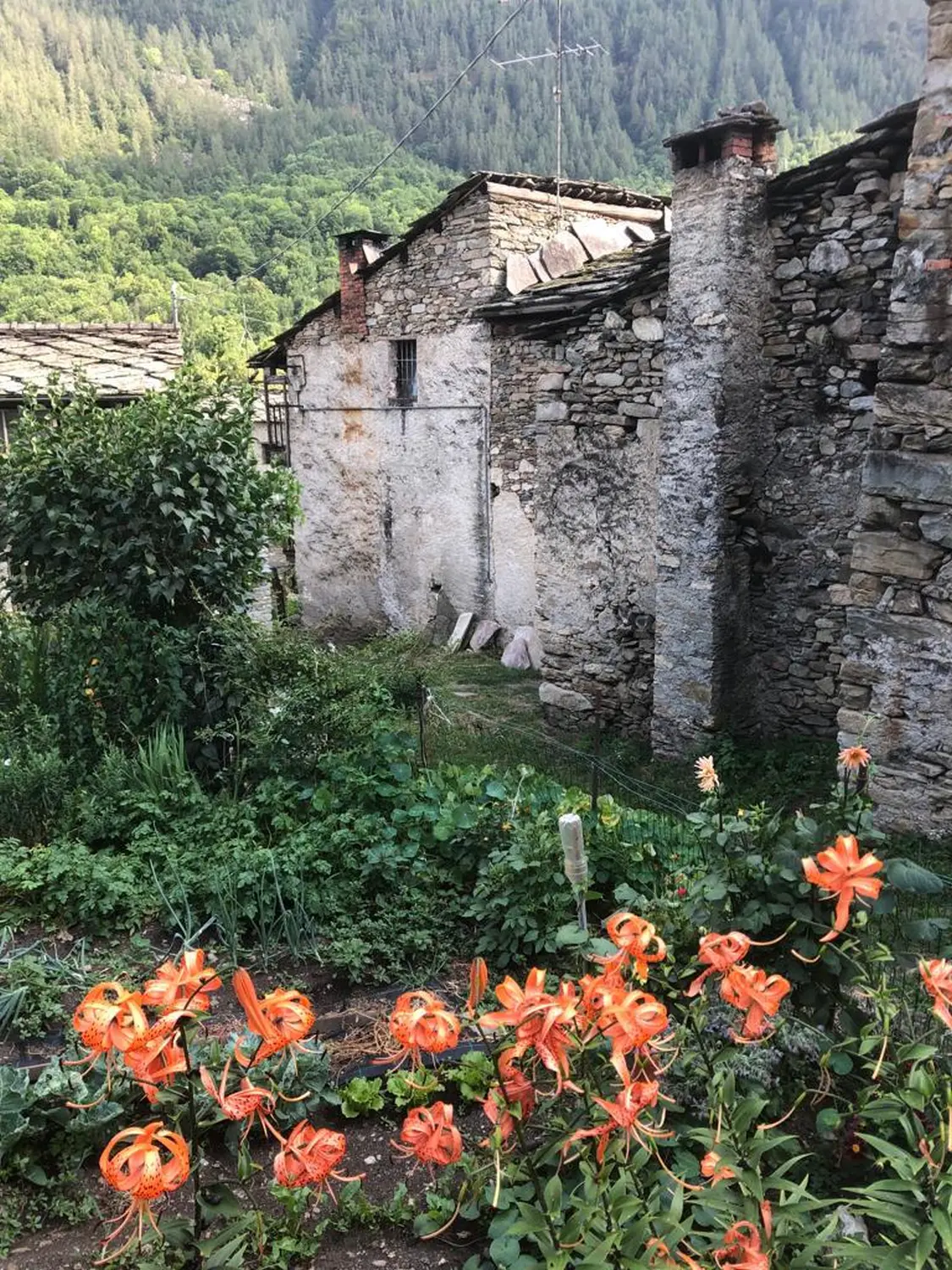 Urlaubsplanung, Planificación de vacaciones, Vacation planning 