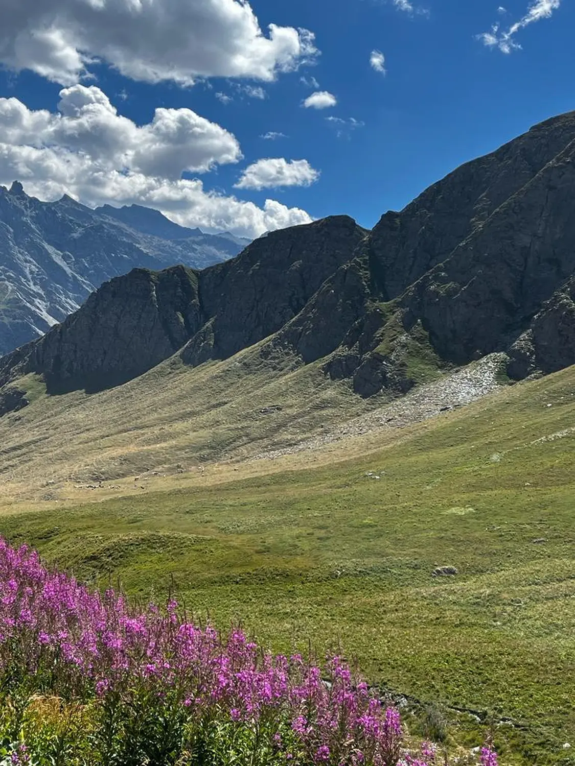 Urlaubsplanung, Planificación de vacaciones, Vacation planning 