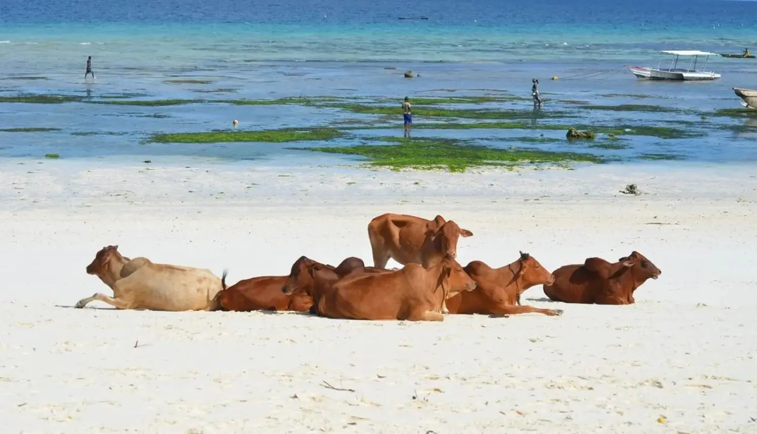 Individualisierte Reisen, Viajes personalizados, Custom travel 