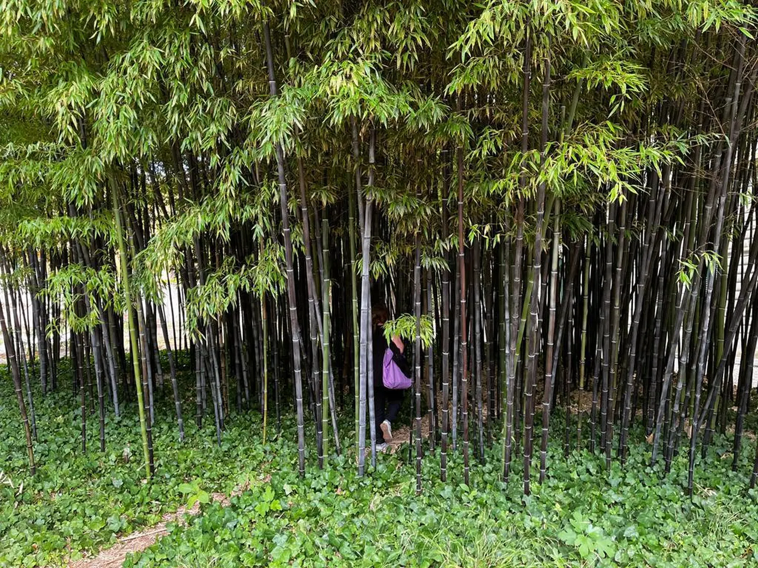 Hotels buchen, Reservar hoteles, Book hotels 