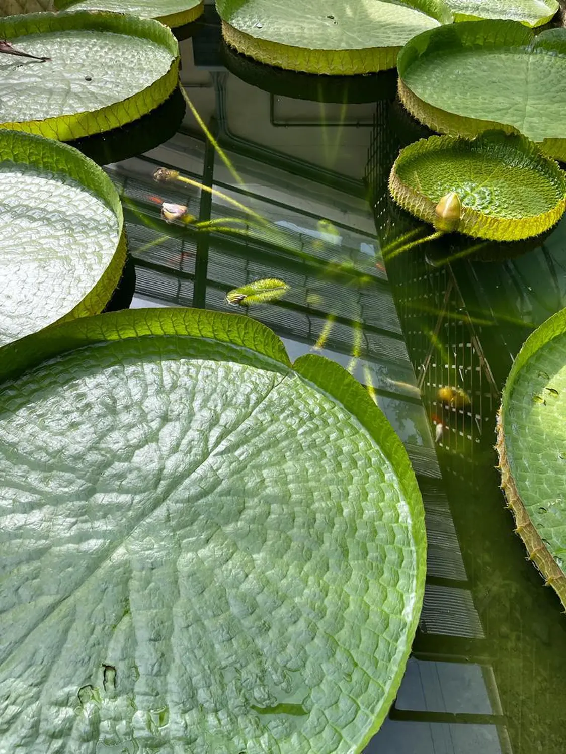 Hotels buchen, Reservar hoteles, Book hotels 