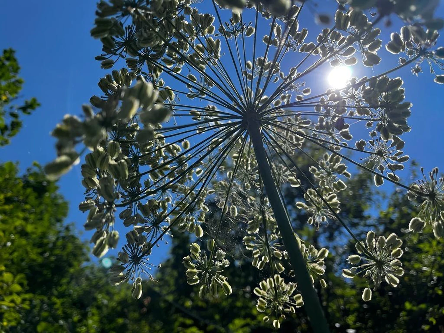 Reiseinspiration, Inspiración de viajes, Travel inspiration 