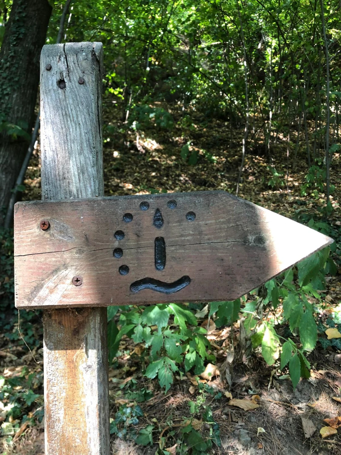 Hotels buchen, Reservar hoteles, Book hotels 