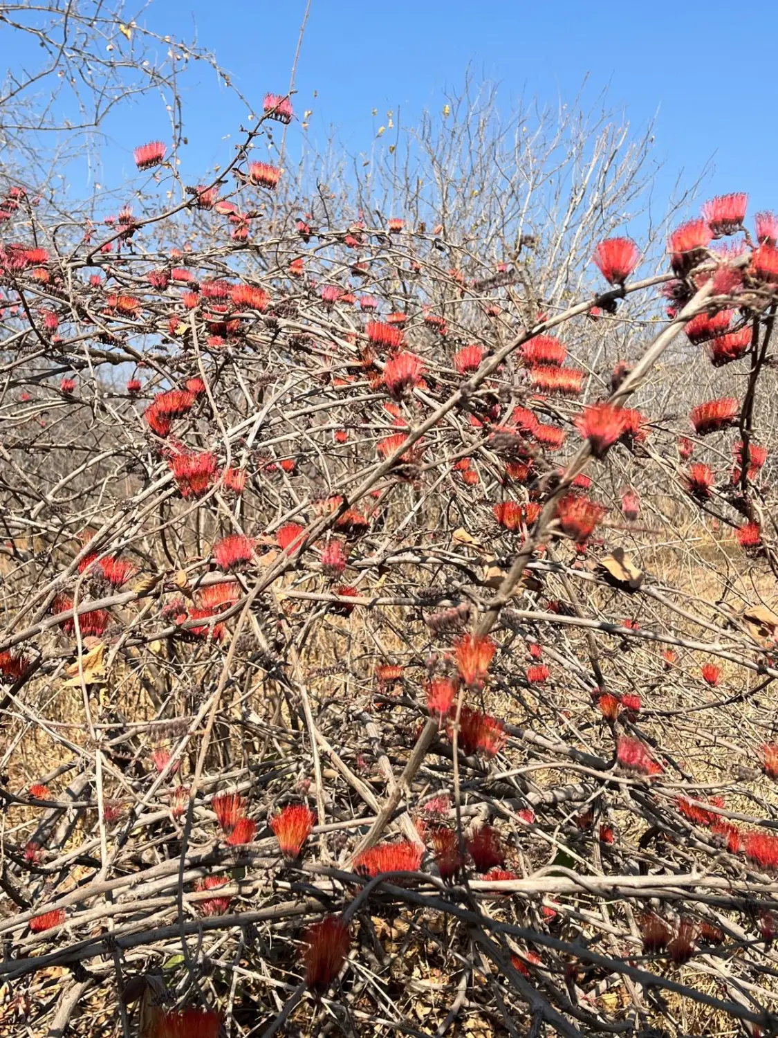 Ubireisen, Reisebüro, Calw