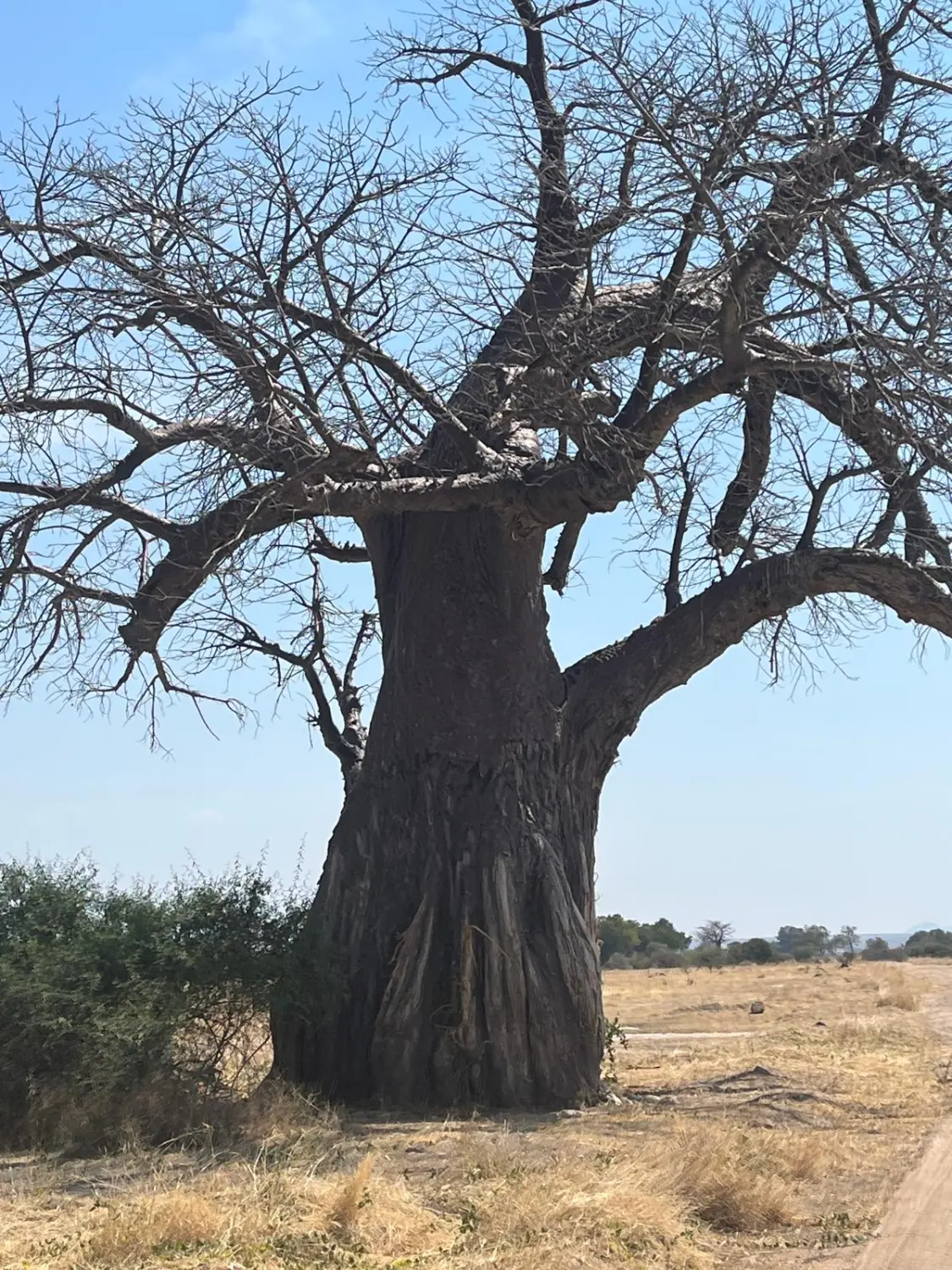 Urlaubsplanung, Planificación de vacaciones, Vacation planning 