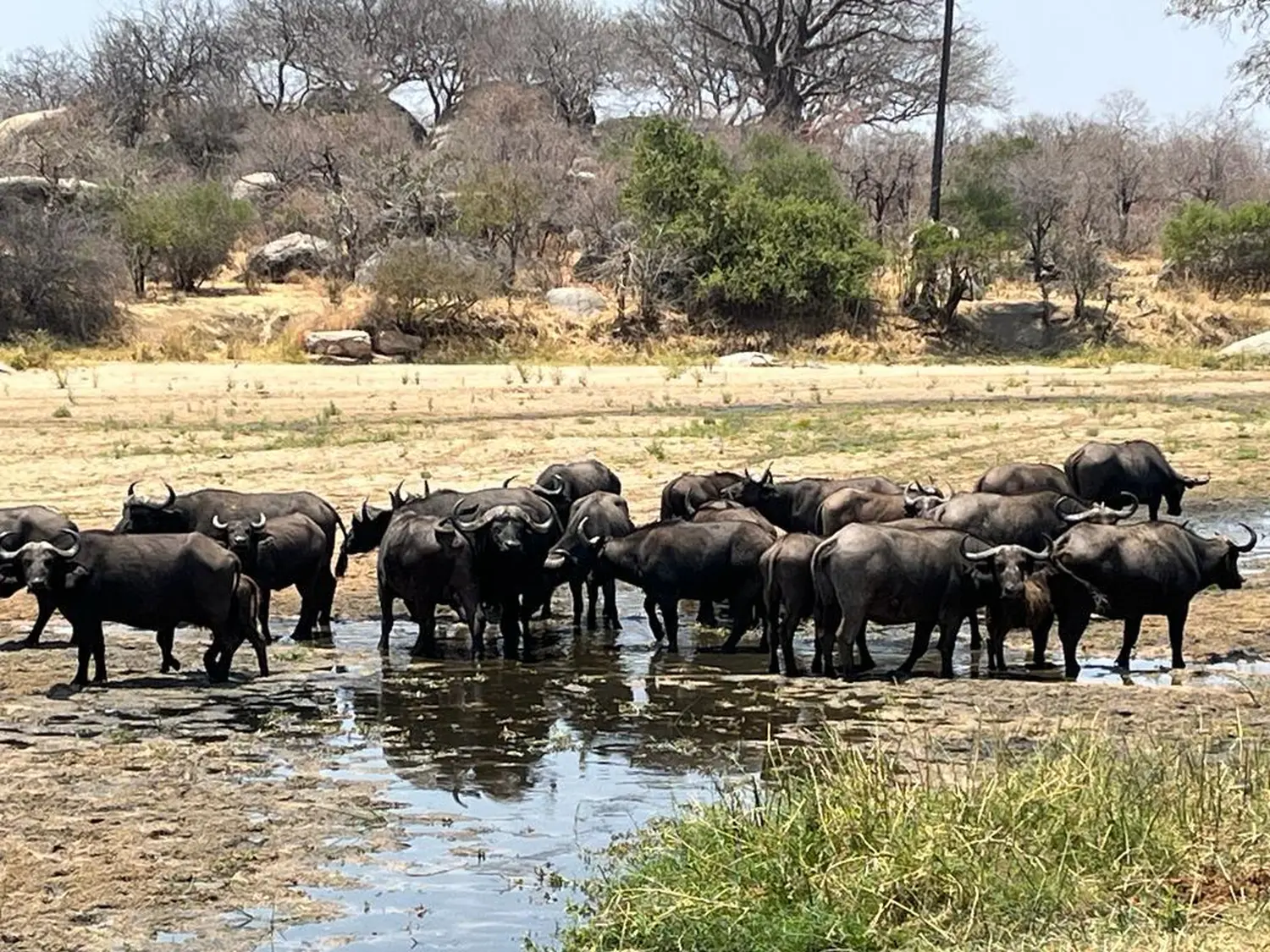 Urlaubsplanung, Planificación de vacaciones, Vacation planning 