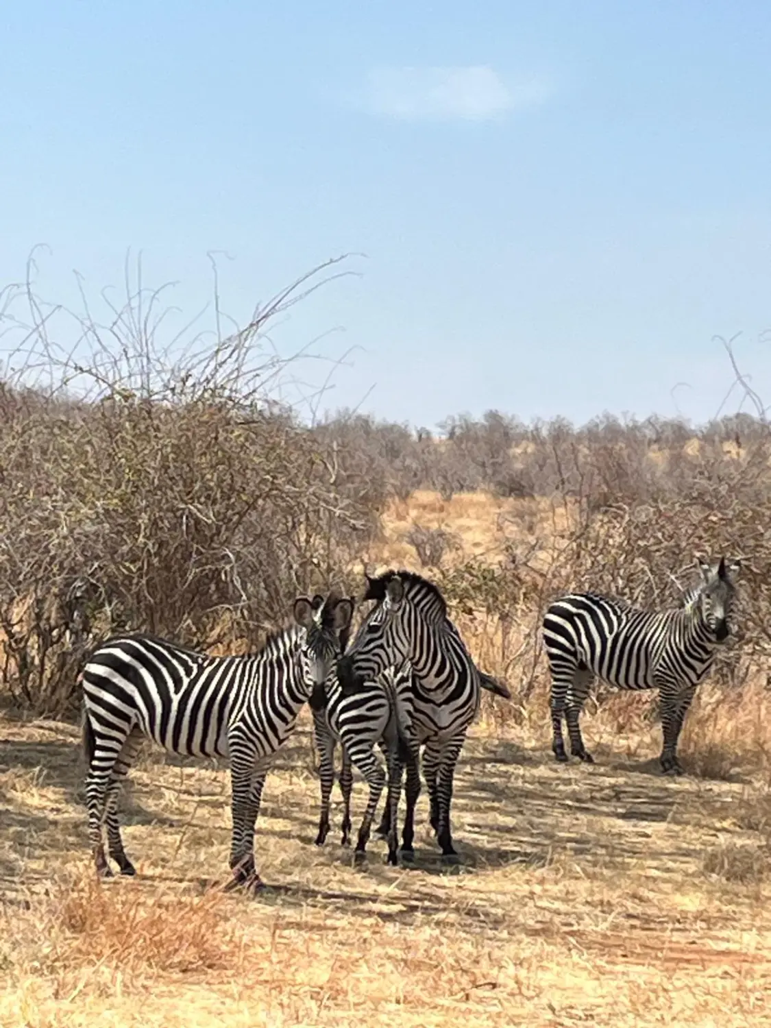 Familienurlaub / Vacaciones en familia / Family vacations