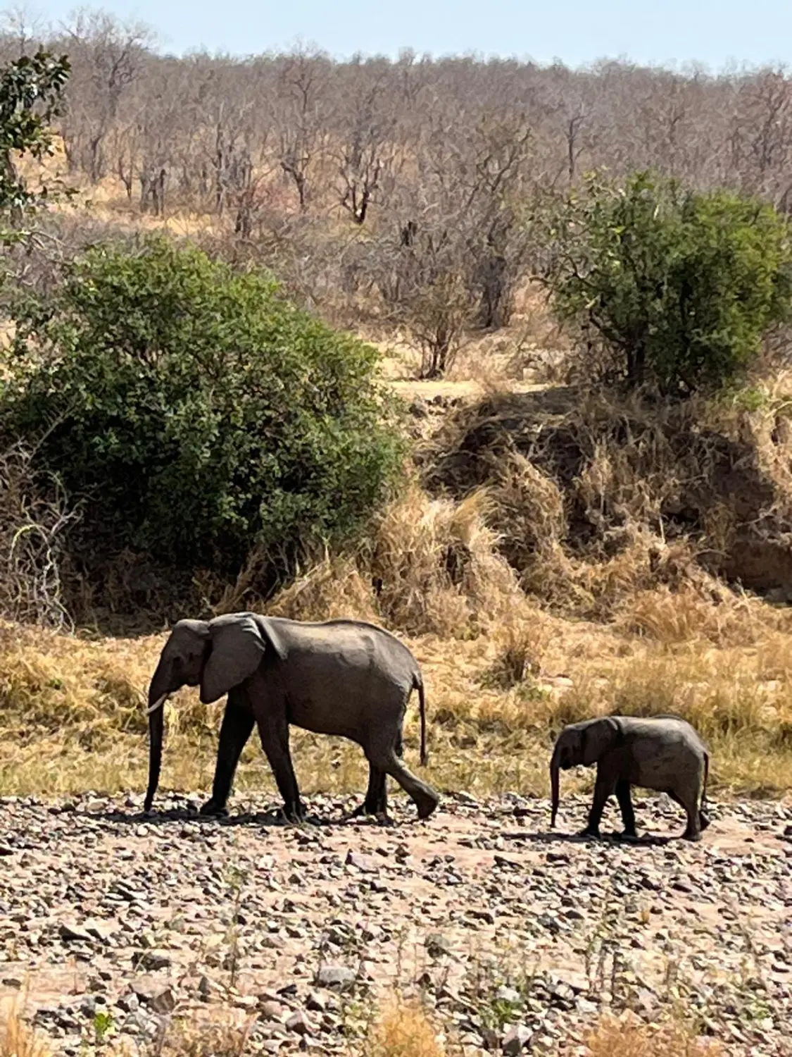 Individualisierte Reisen, Viajes personalizados, Custom travel 