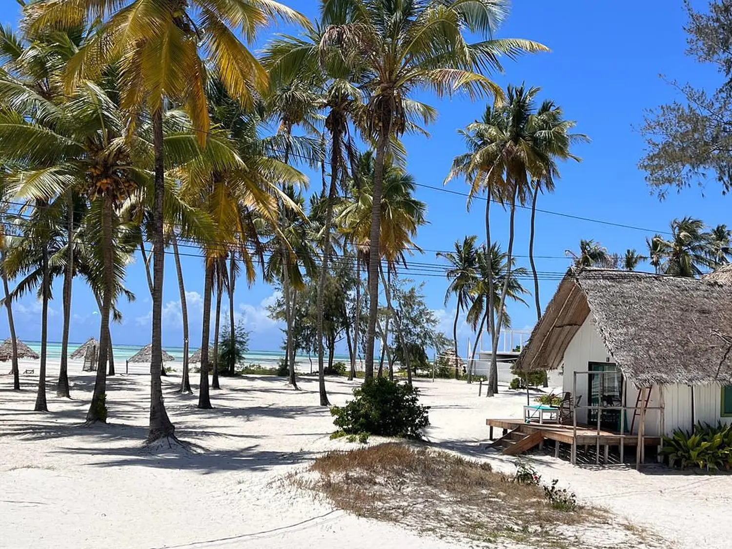 Reiseversicherung, Seguro de viaje, Travel insurance