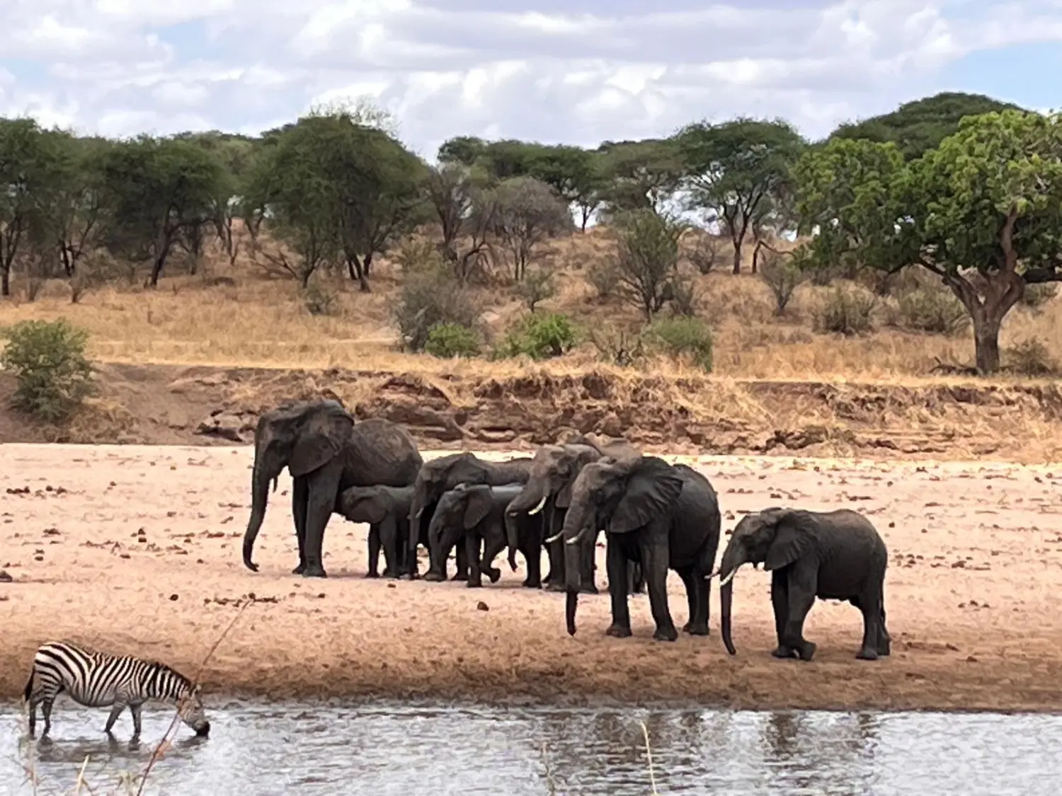 Last-Minute-Angebote, Ofertas de última hora, Last-minute deals 