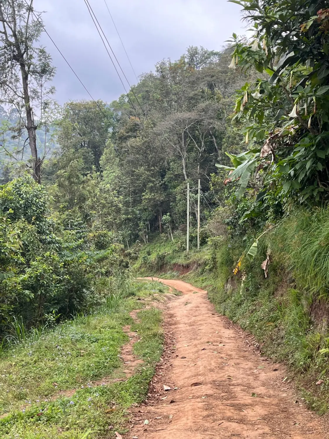 Last-Minute-Angebote, Ofertas de última hora, Last-minute deals 