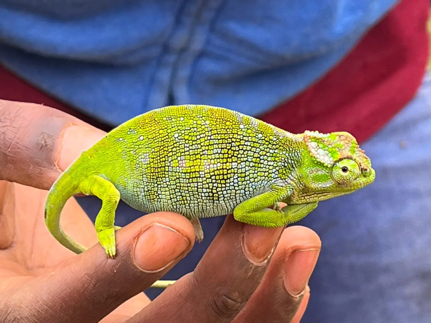 Netzwerken, Networking, Networking 