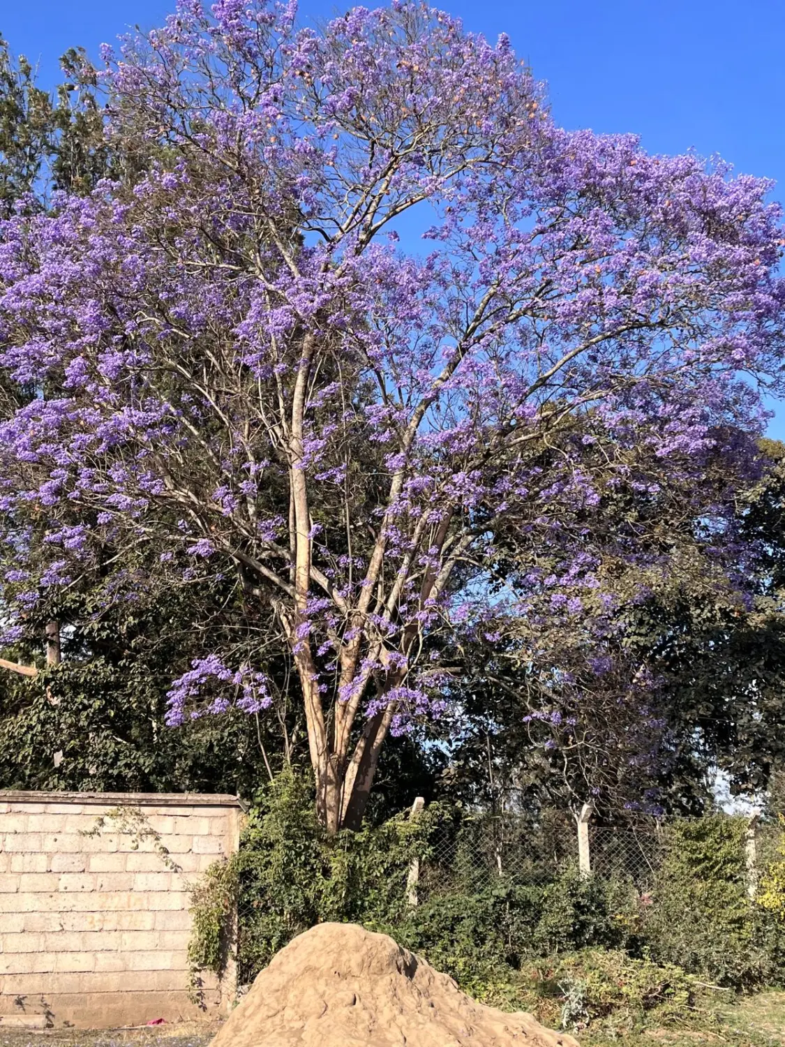 Reiseinspiration, Inspiración de viajes, Travel inspiration 