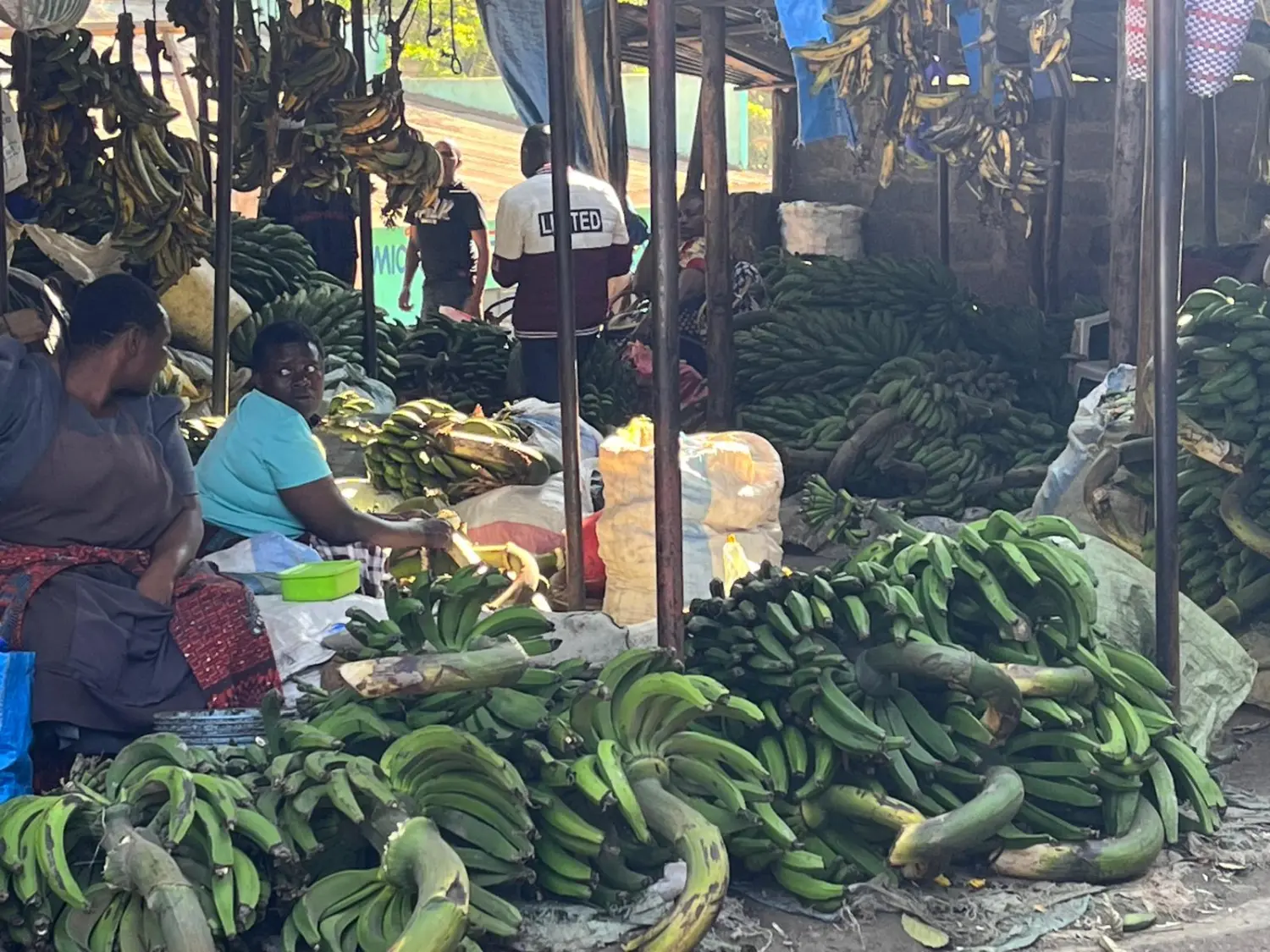 Hotels buchen, Reservar hoteles, Book hotels 