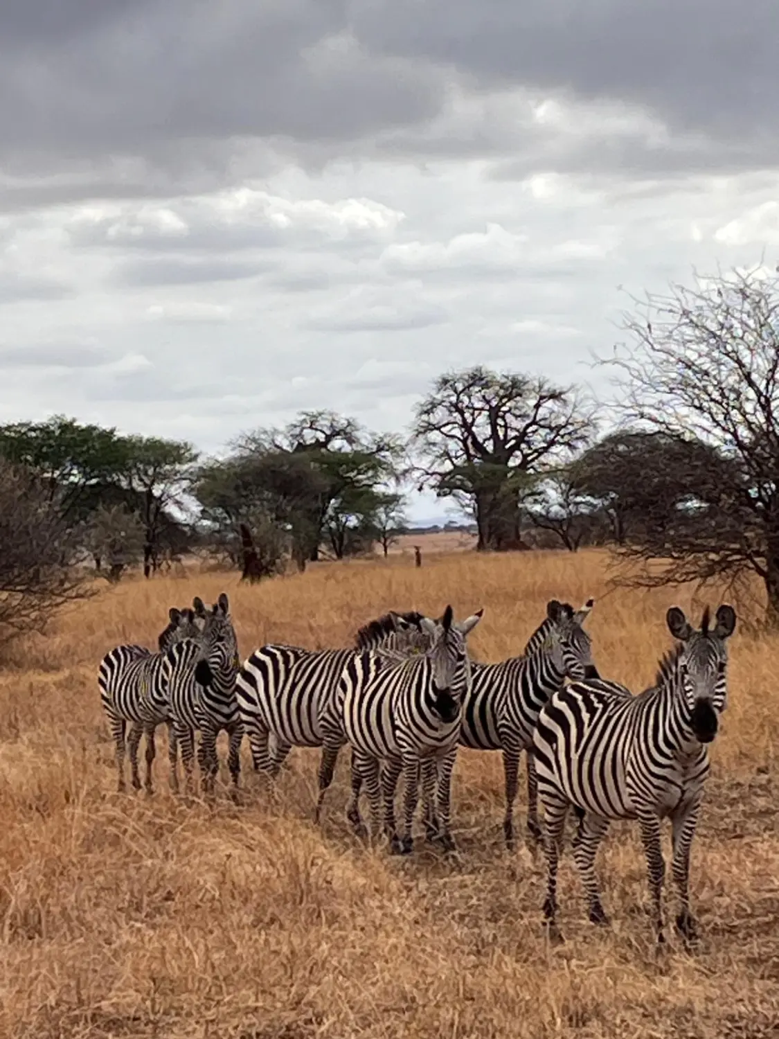 Netzwerken, Networking, Networking 