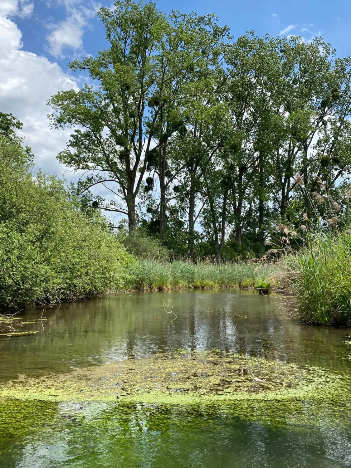 Familienurlaub / Vacaciones en familia / Family vacations