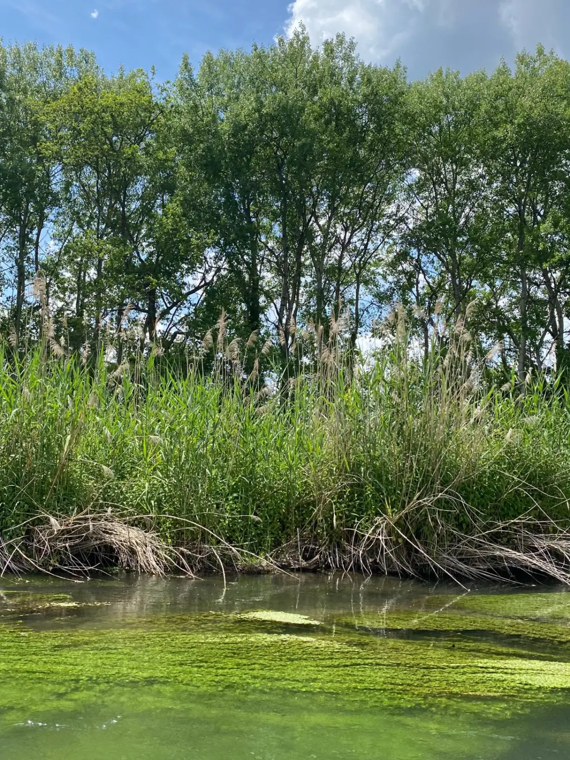 Urlaubsplanung, Planificación de vacaciones, Vacation planning 