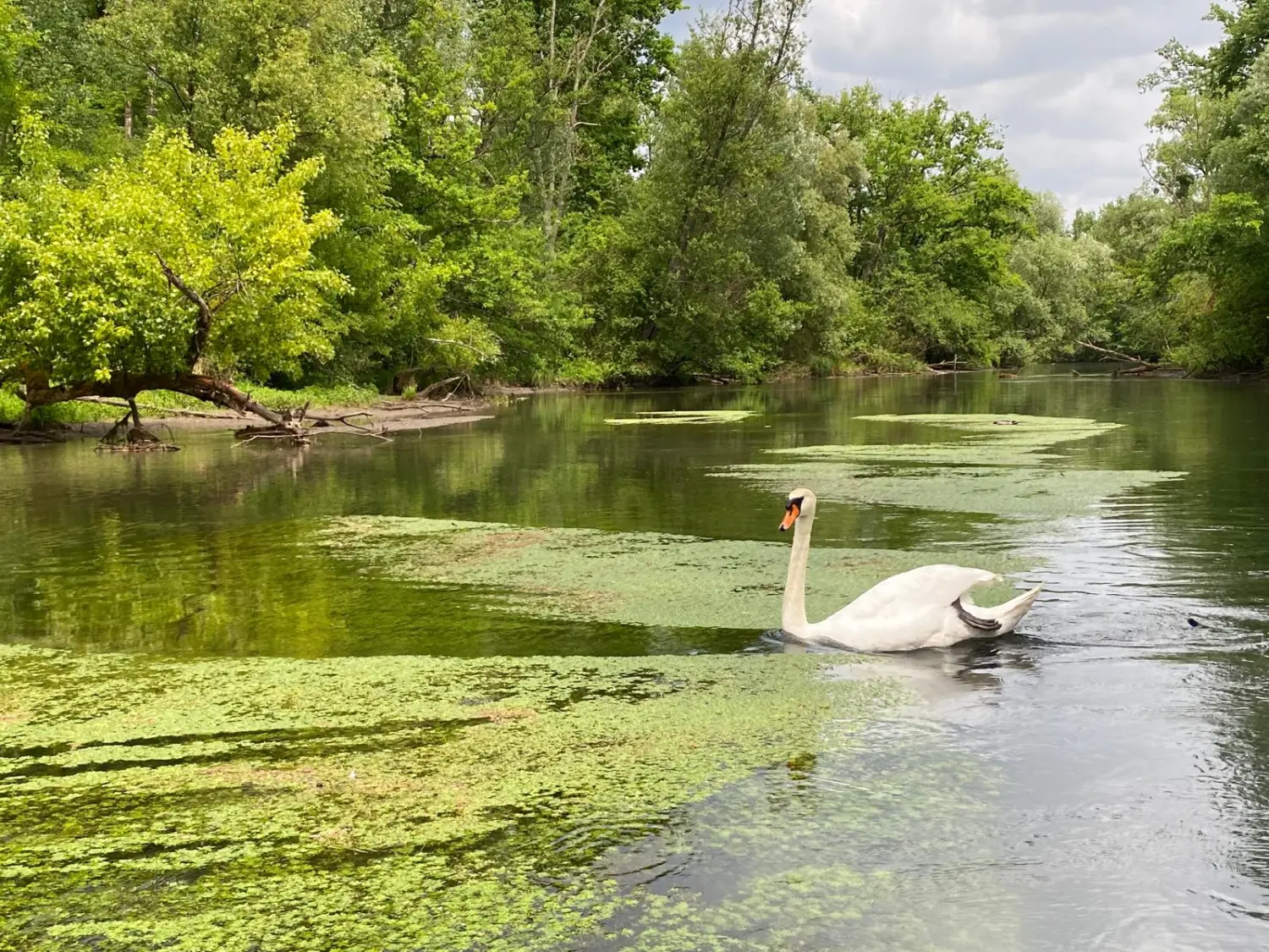 Urlaubsplanung, Planificación de vacaciones, Vacation planning 