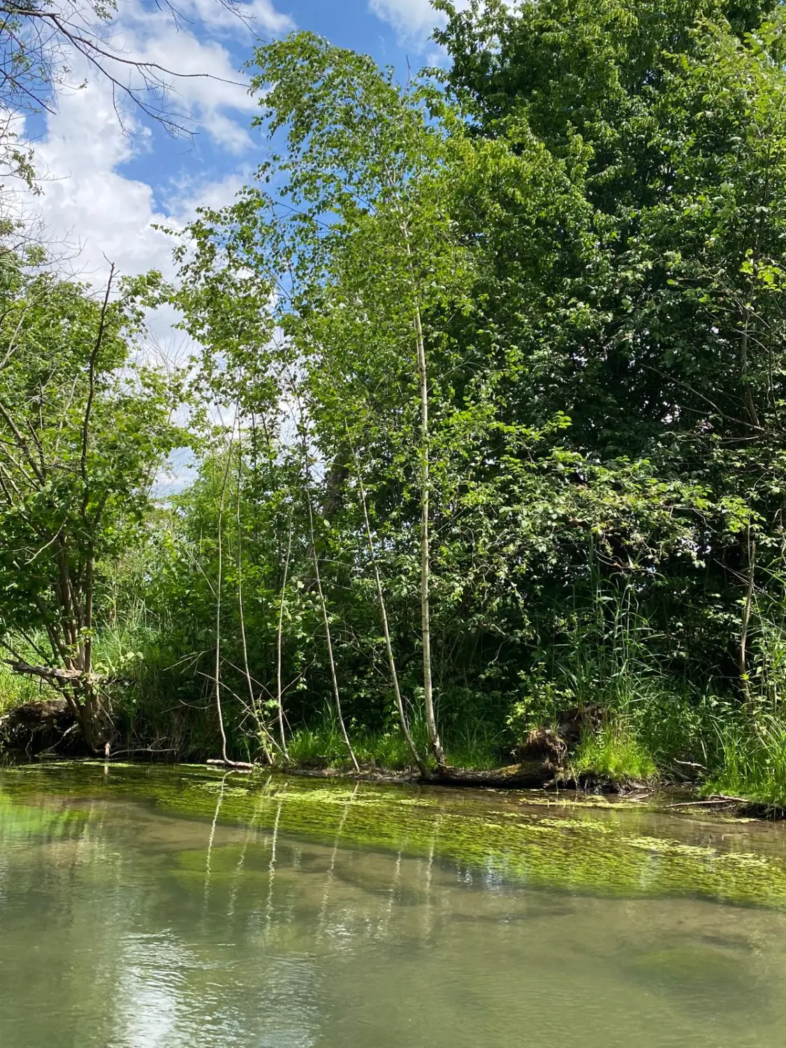 Familienurlaub / Vacaciones en familia / Family vacations