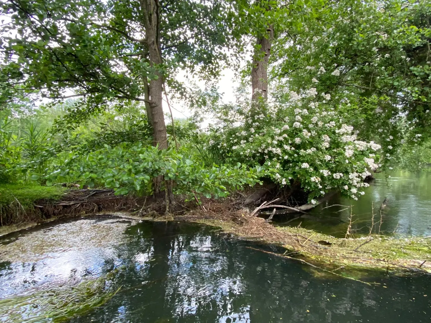 Ubireisen - Reisebüro - Taubergießen
