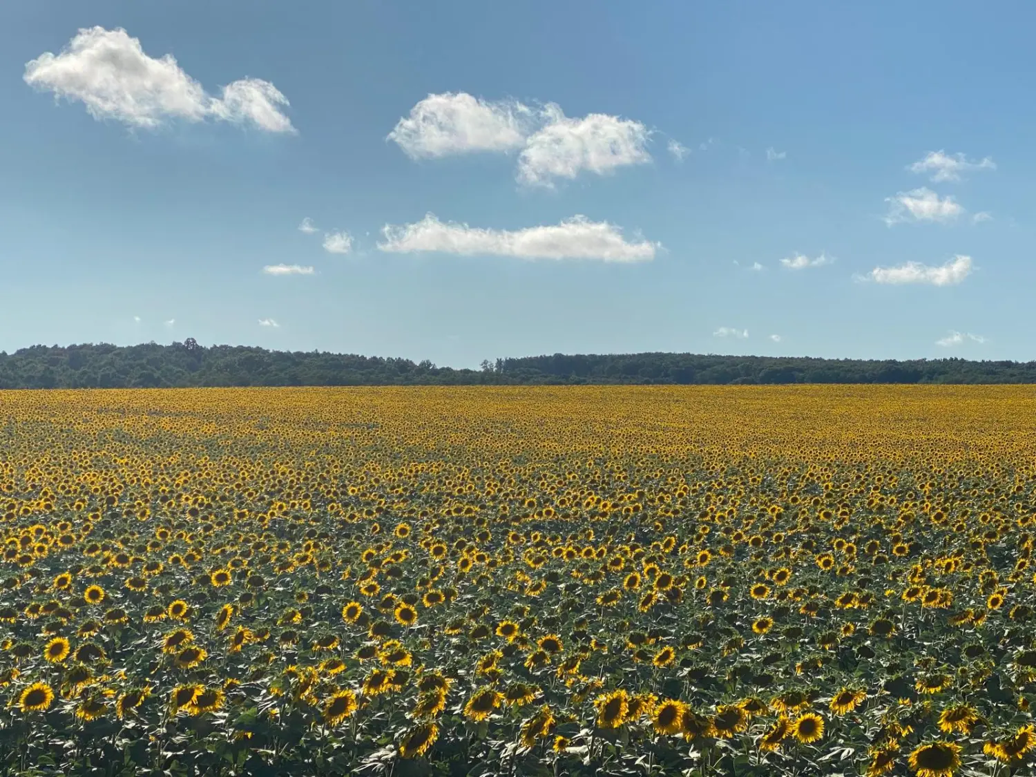 Reiseinspiration, Inspiración de viajes, Travel inspiration 