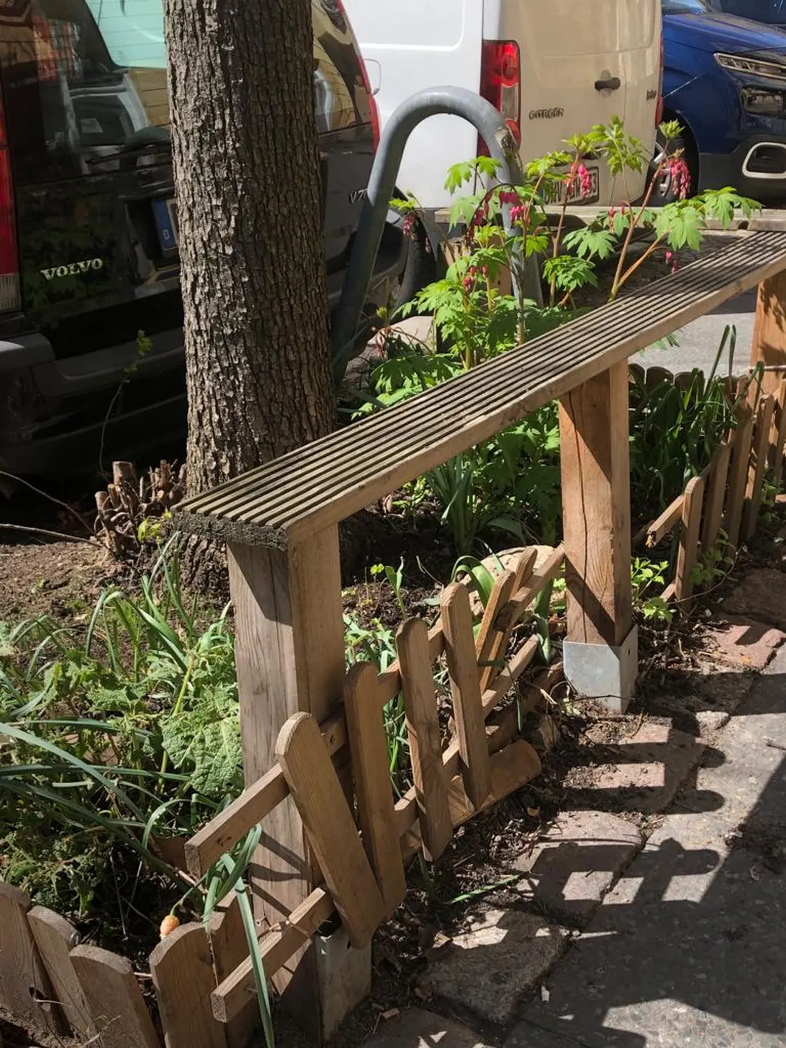 Kreuzfahrten, Cruceros, Cruises