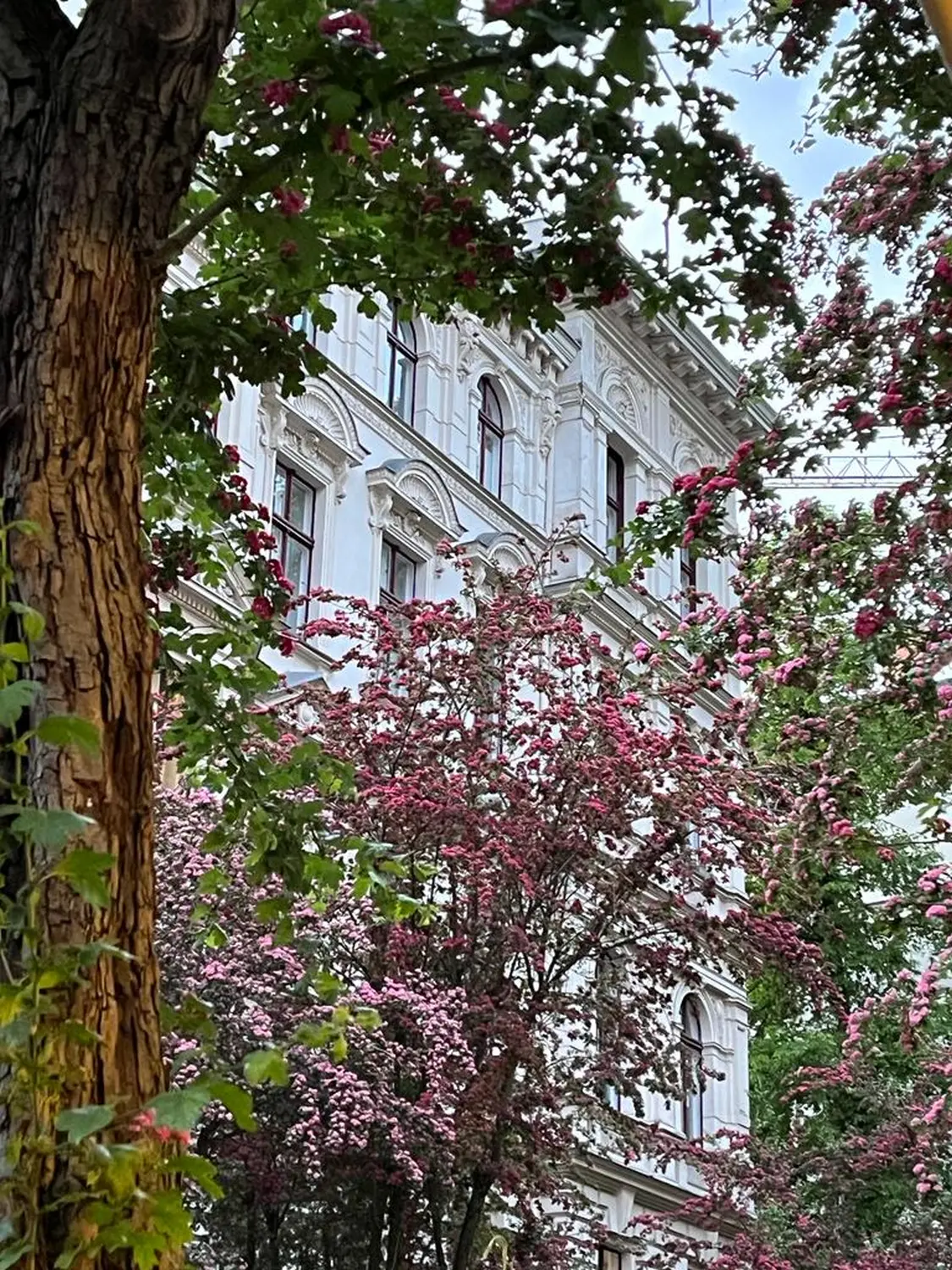 Ubireisen, Reisebüro, Calw